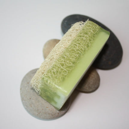 Aloe Vera Soap with Loofah - Beautillicious.com