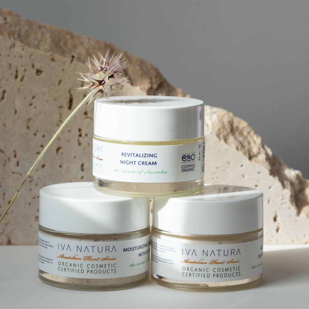 Best Organic Rejuvenating Night Cream with Immortelle Flower - Beautillicious.com