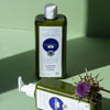 Shop Organic Anti Hair Loss Shampoo with Horsetail Extract - Beautillicious.com