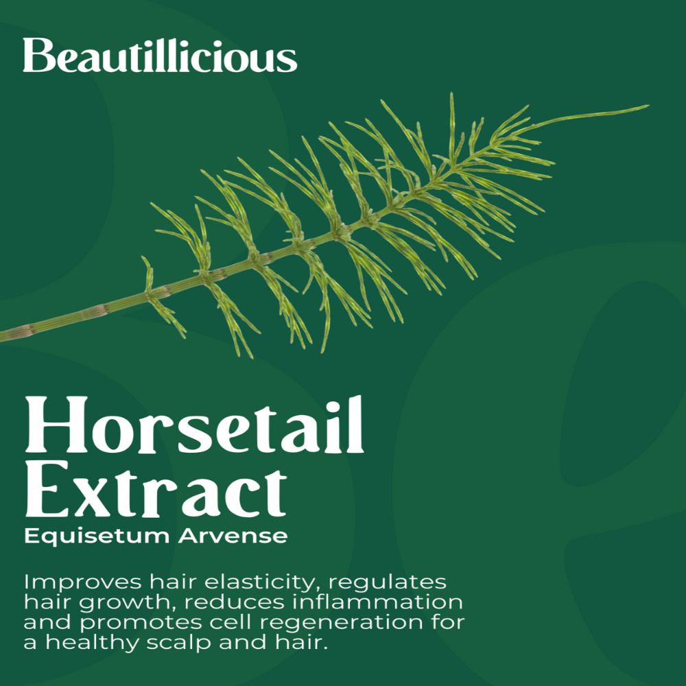 Organic Anti Hair Loss Shampoo with Horsetail Extract Online - Beautillicious.com