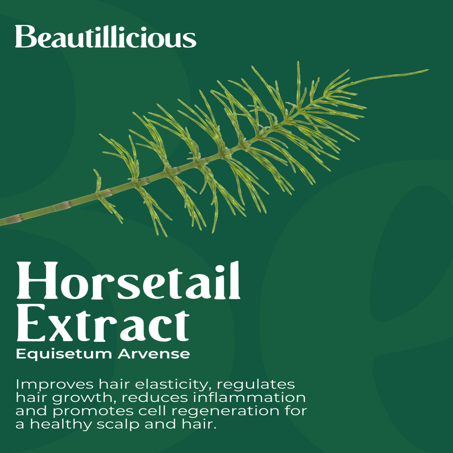 Organic Nourishing Horsetail Shampoo Beautillicious