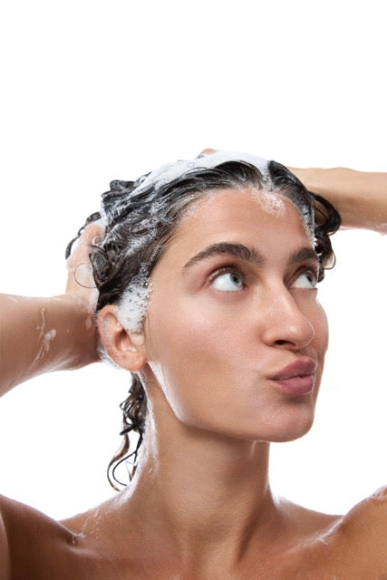 Organic Anti Hair Loss Shampoo with Horsetail Extract