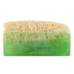 Aloe Vera Soap with Loofah Sale - Beautillicious.com