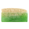 Aloe Vera Soap with Loofah Sale - Beautillicious.com